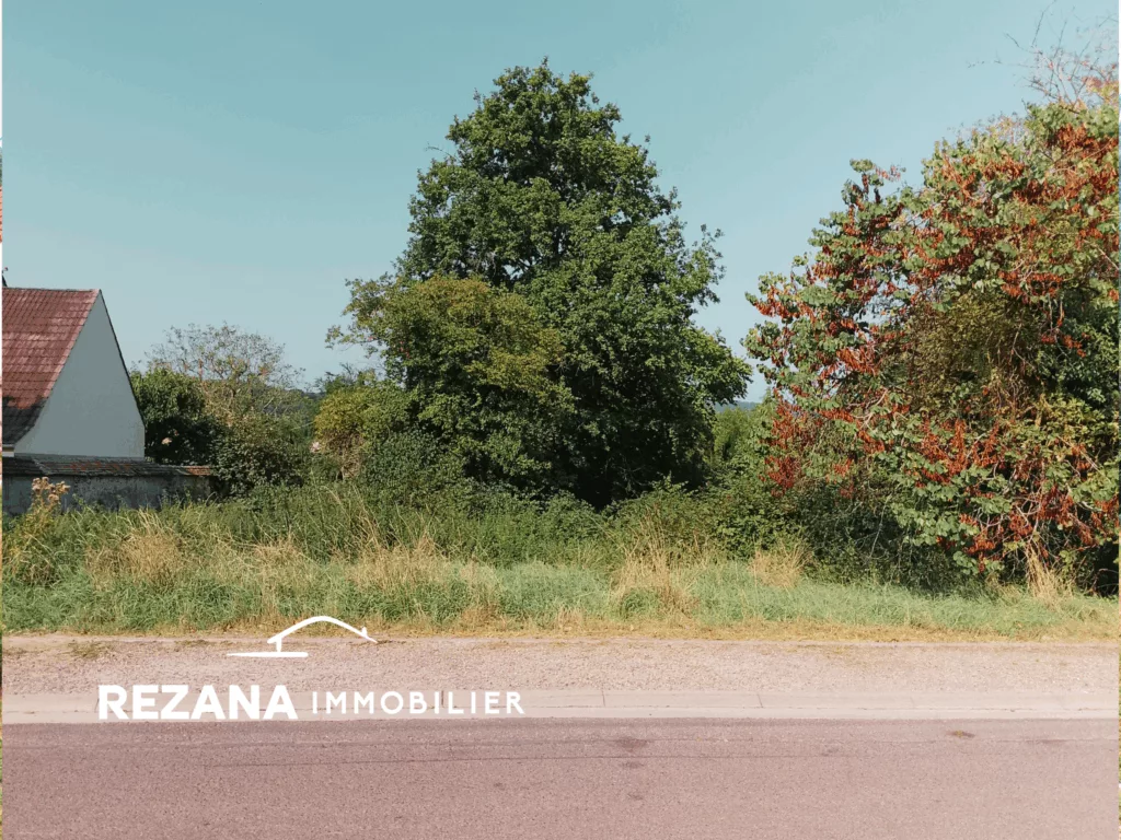 Terrain à vendre Samoreau proche Fontainebleau Seine-et-Marne