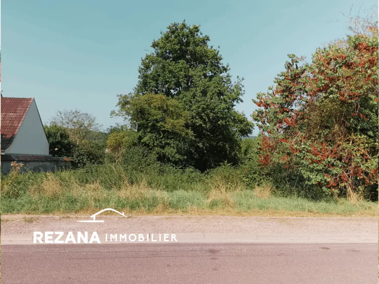 Terrain à vendre Samoreau proche Fontainebleau Seine-et-Marne